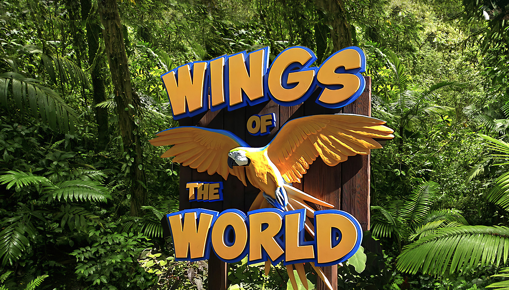 Wings of the World